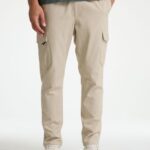 volwassenen CHASIN' Broeken Stone Dual Cargo