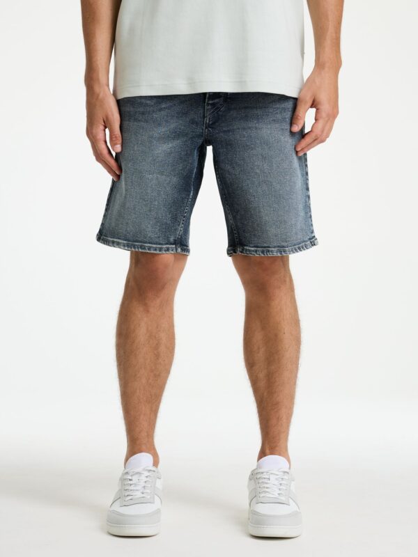 volwassenen CHASIN' Shorts Evan.S Smoke
