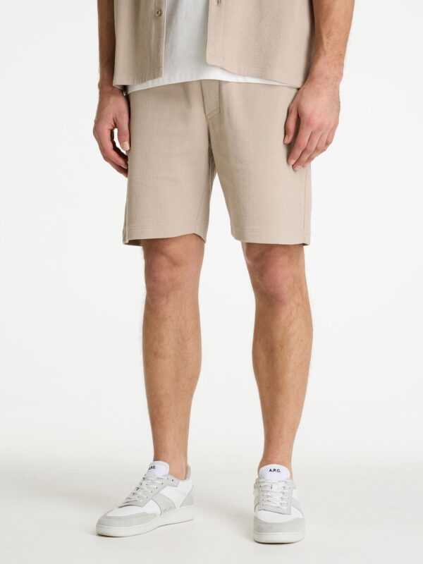 volwassenen CHASIN' Shorts Slate.S Structure