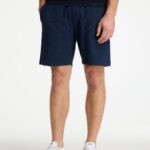 volwassenen CHASIN' Shorts Slate.S Structure