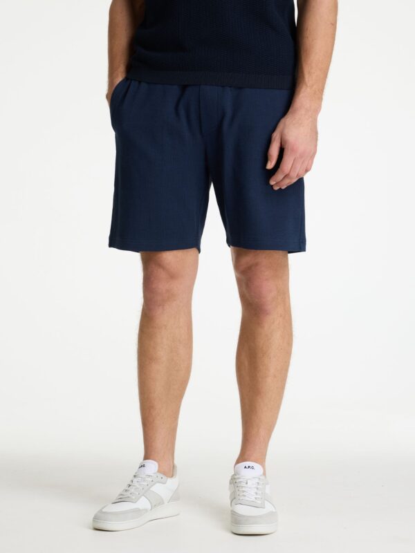 volwassenen CHASIN' Shorts Slate.S Structure