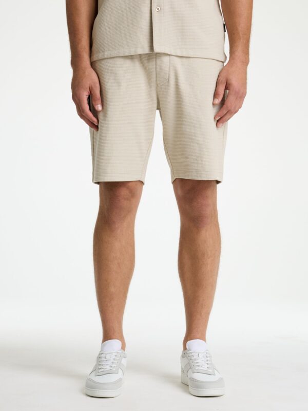volwassenen CHASIN' Shorts Stone.S Structure