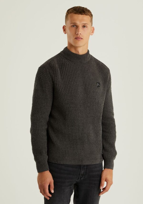 volwassenen CHASIN' Truien Allan