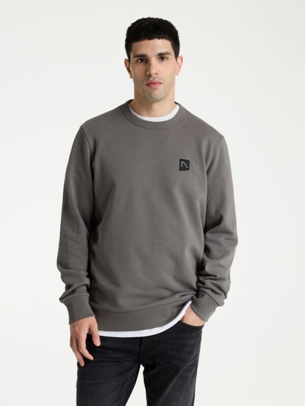 volwassenen CHASIN' Sweaters Toby