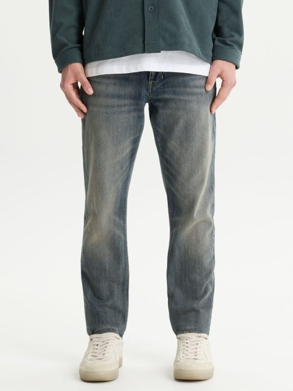 volwassenen CHASIN' Jeans Evan Earth